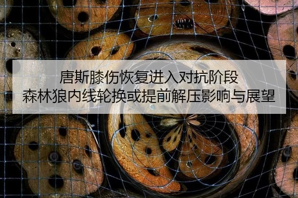 唐斯膝伤恢复进入对抗阶段 森林狼内线轮换或提前解压影响与展望